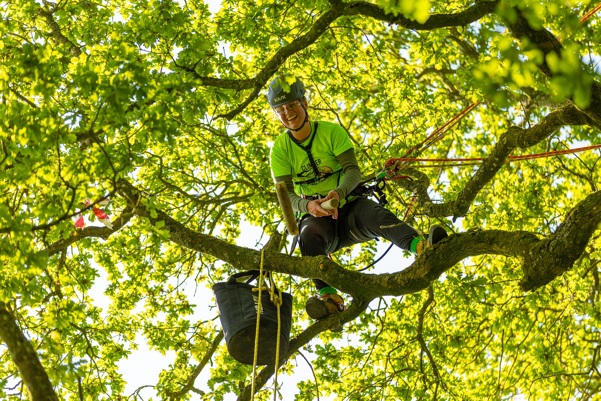 2023 Southern Tree Climbing Competition